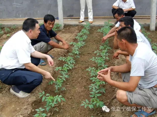 微生物菌劑的使用方法是什么？注意事項(xiàng)有哪些